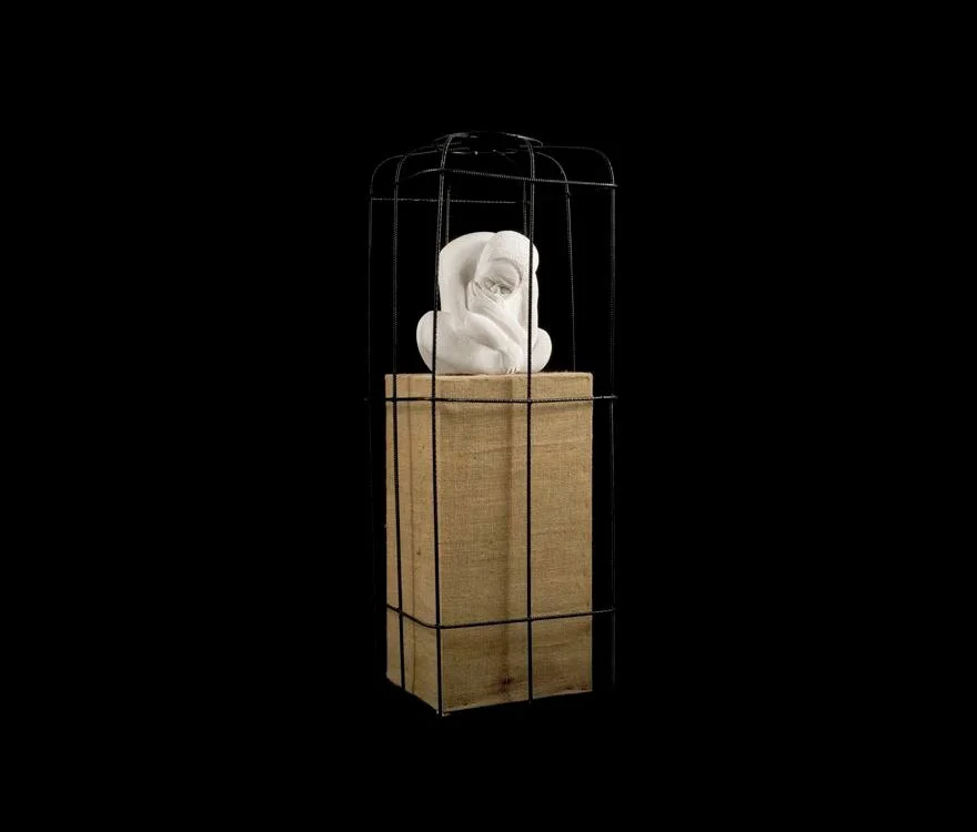 "Prigioniero dei propri pensieri", 2007